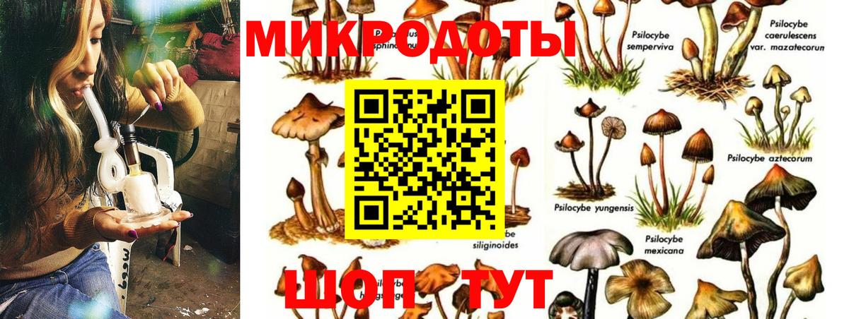Псилоцибиновые грибы ЛСД  Вход с VPN  Камень-на-Оби 