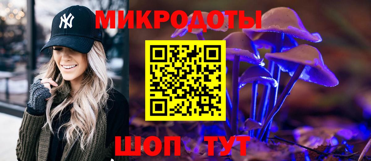 Псилоцибиновые грибы ЛСД Камень-на-Оби